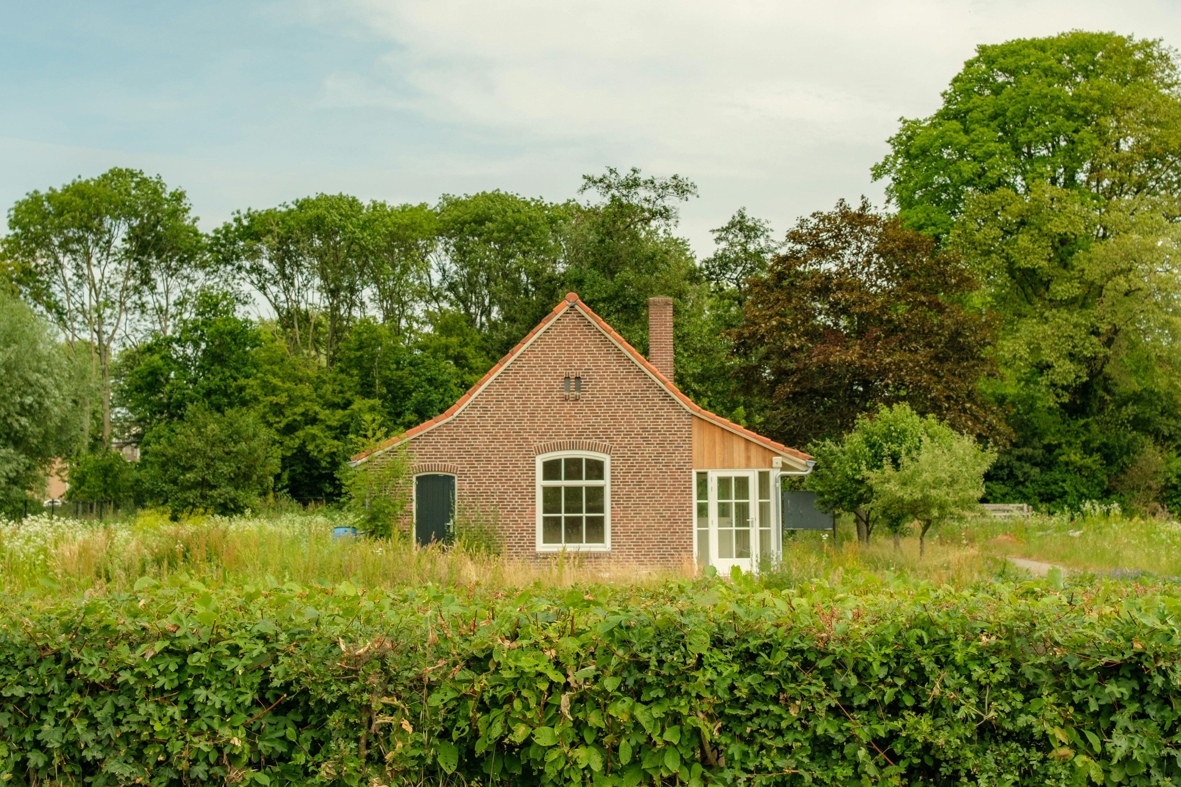 a bungalow in a garden